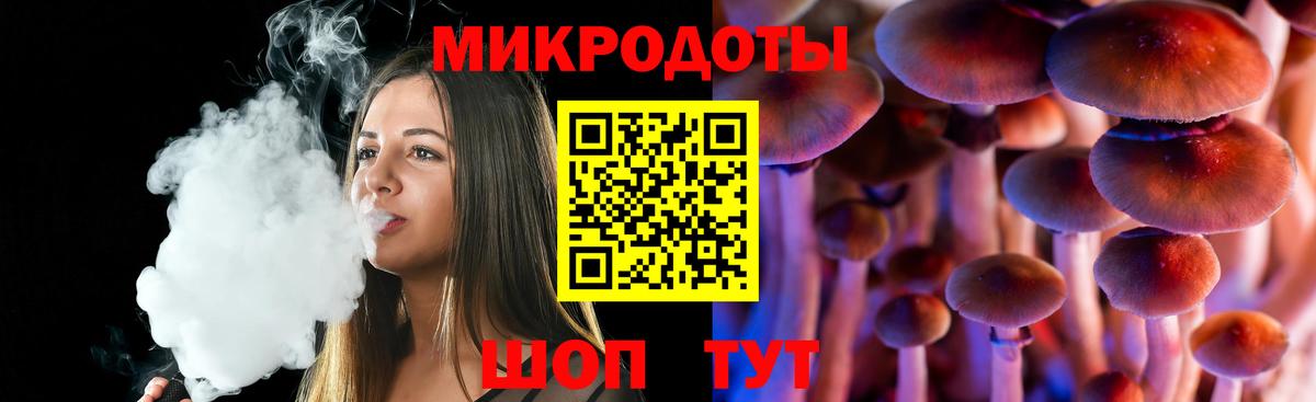 купить   Галлюциногенные грибы Cubensis  Вход с VPN  Новоалтайск 