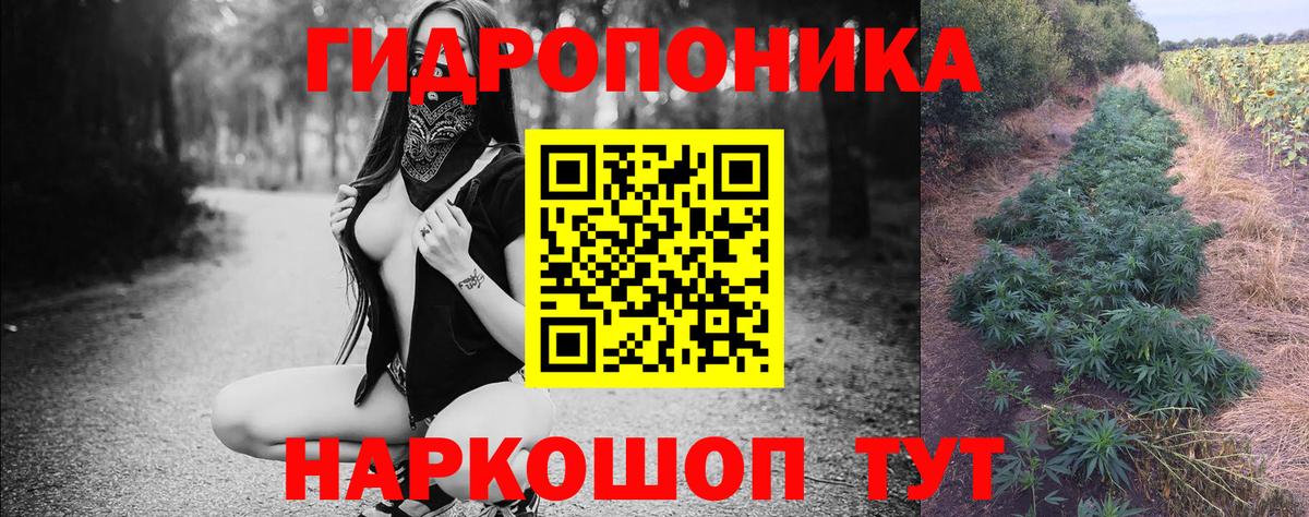 Бошки марихуана гибрид  Вход с VPN  Новоалтайск  Канабис THC 21%  Конопля индика 